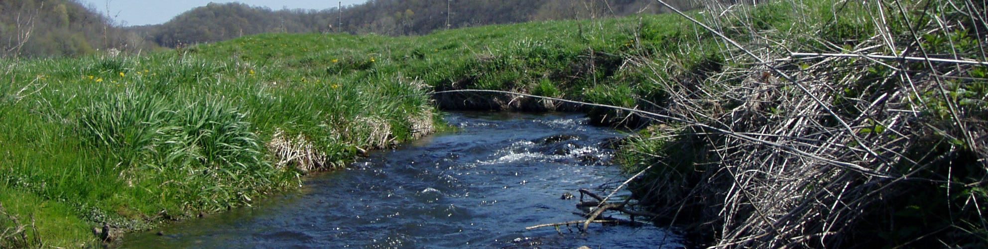 Slideshow Image 1