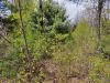 Camp - Build A Cabin or Home